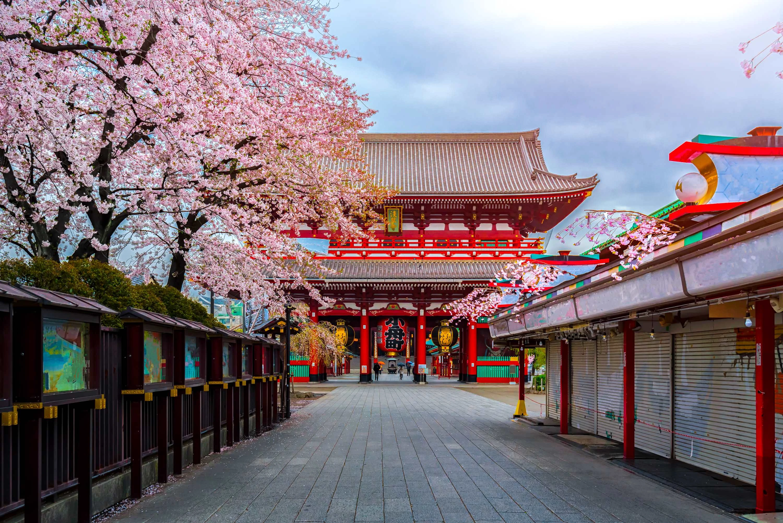 Ultimate Japan Adventure: Tokyo, Kyoto & 3 World-Class Theme Parks